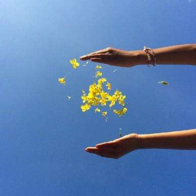 AOA体育手机app下载