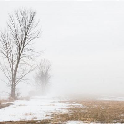 快3彩票官方下载截图