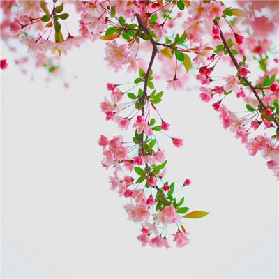 江南JN体育登录入口