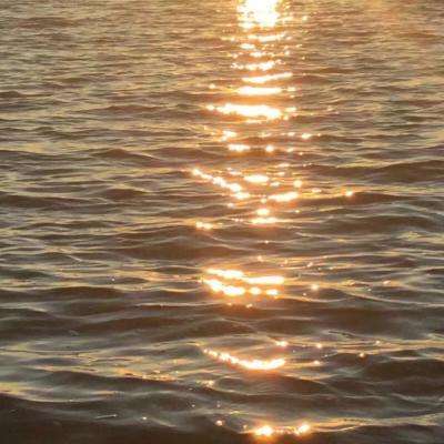 8868体育app下载手机版截图